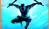Shadow Ninja Revenge